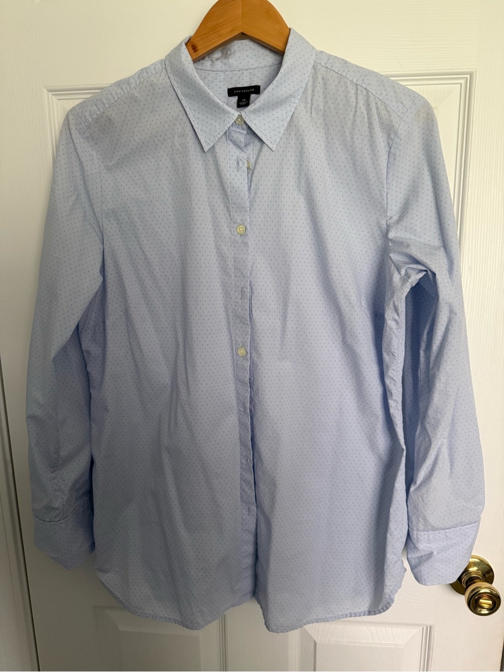 Ann Taylor Light Blue Microdot Button-Down Shirt